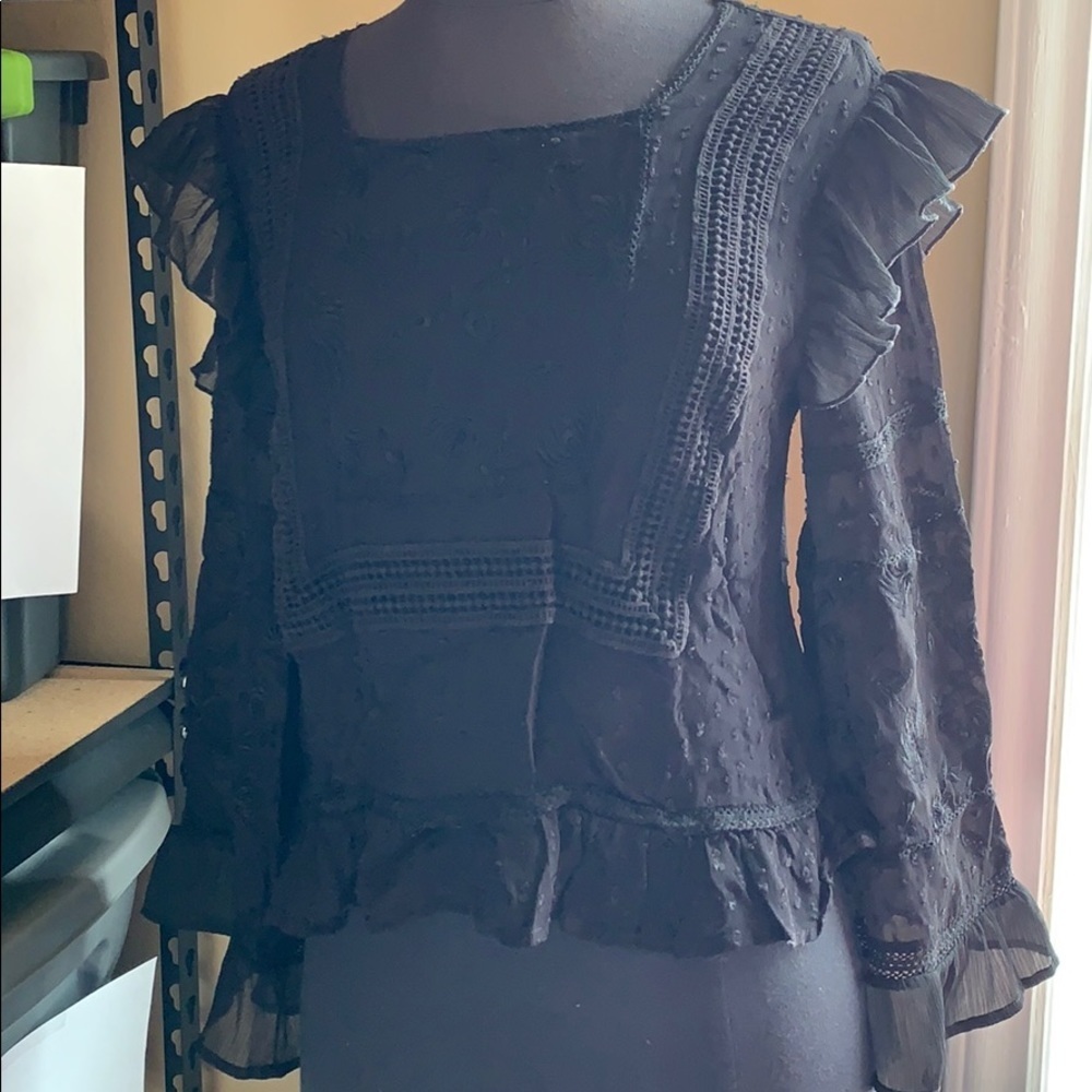 EUC Sheer Sixe XS Zara blouse C1